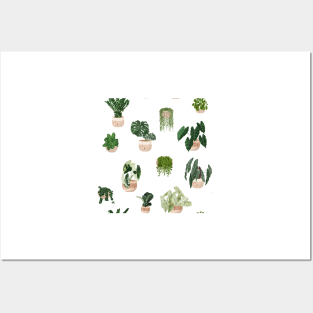 Trendy Plant Art, House Plants Pattern 2 Posters and Art